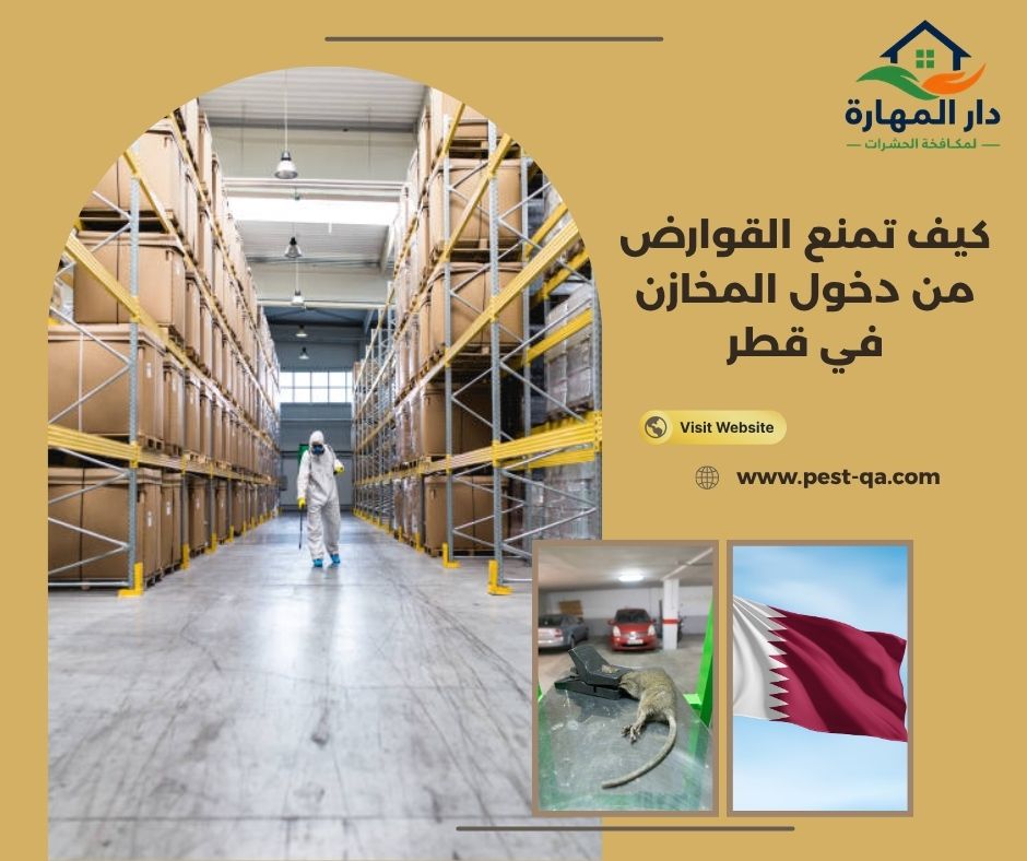 كيف تمنع القوارض من دخول المخازن في قطر كيف تمنع القوارض من دخول المخازن في قطر