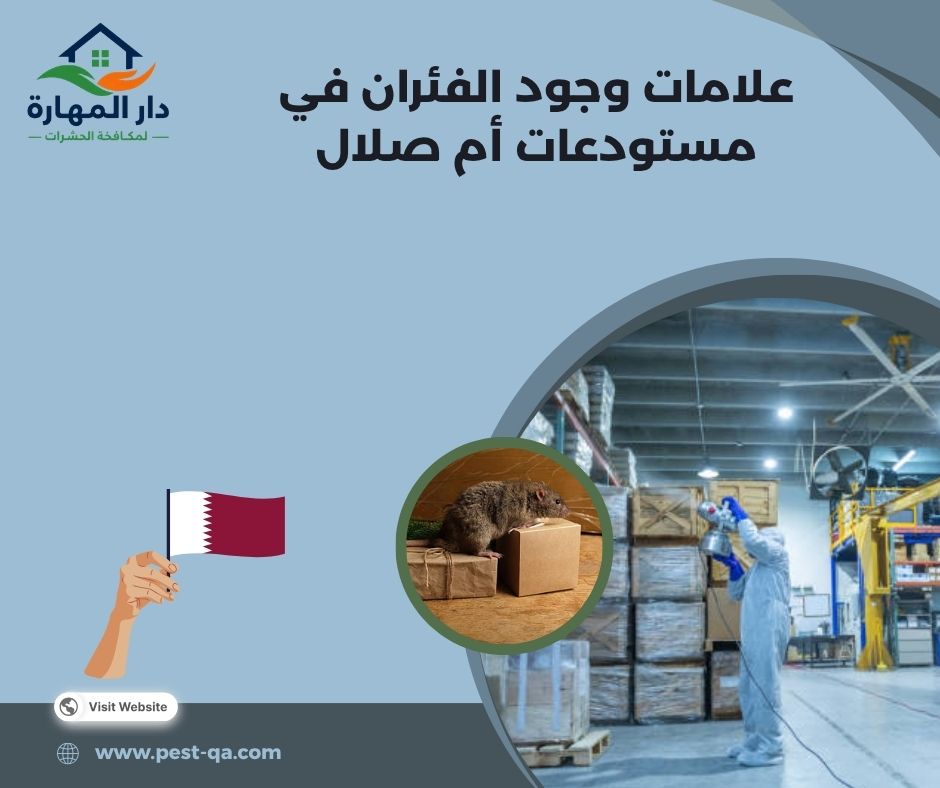 علامات وجود الفئران في مستودعات أم صلال علامات وجود الفئران في مستودعات أم صلال