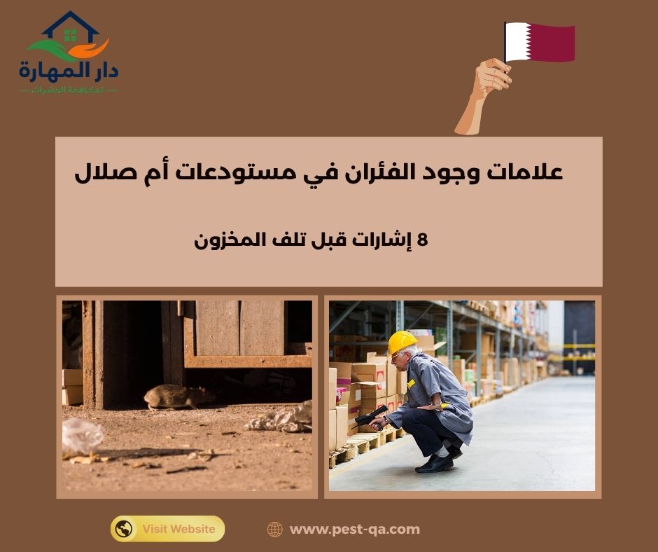 علامات وجود الفئران في مستودعات أم صلال