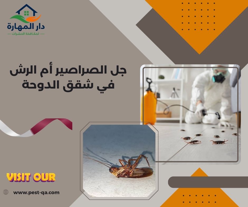 جل الصراصير أم الرش في شقق الدوحة جل الصراصير أم الرش في شقق الدوحة