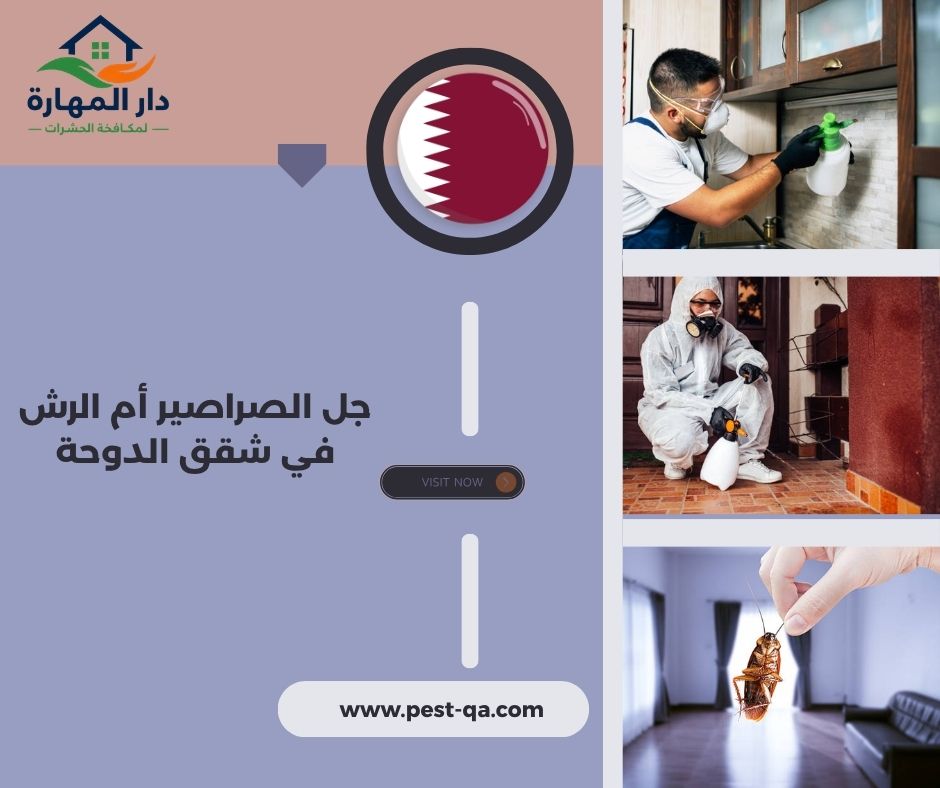 جل الصراصير أم الرش في شقق الدوحة جل الصراصير أم الرش في شقق الدوحة