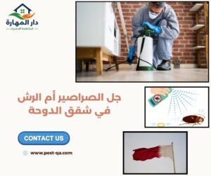 جل الصراصير أم الرش في شقق الدوحة