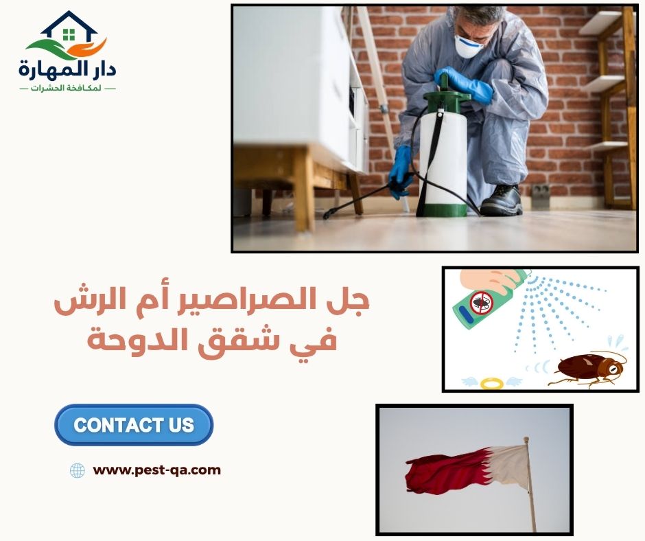 جل الصراصير أم الرش في شقق الدوحة جل الصراصير أم الرش في شقق الدوحة