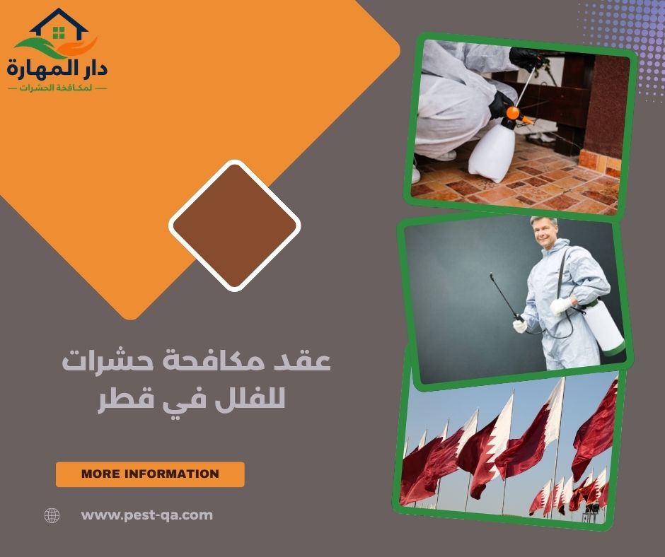عقد مكافحة حشرات للفلل في قطر عقد مكافحة حشرات للفلل في قطر