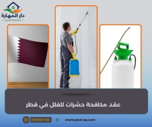 عقد مكافحة حشرات للفلل في قطر
