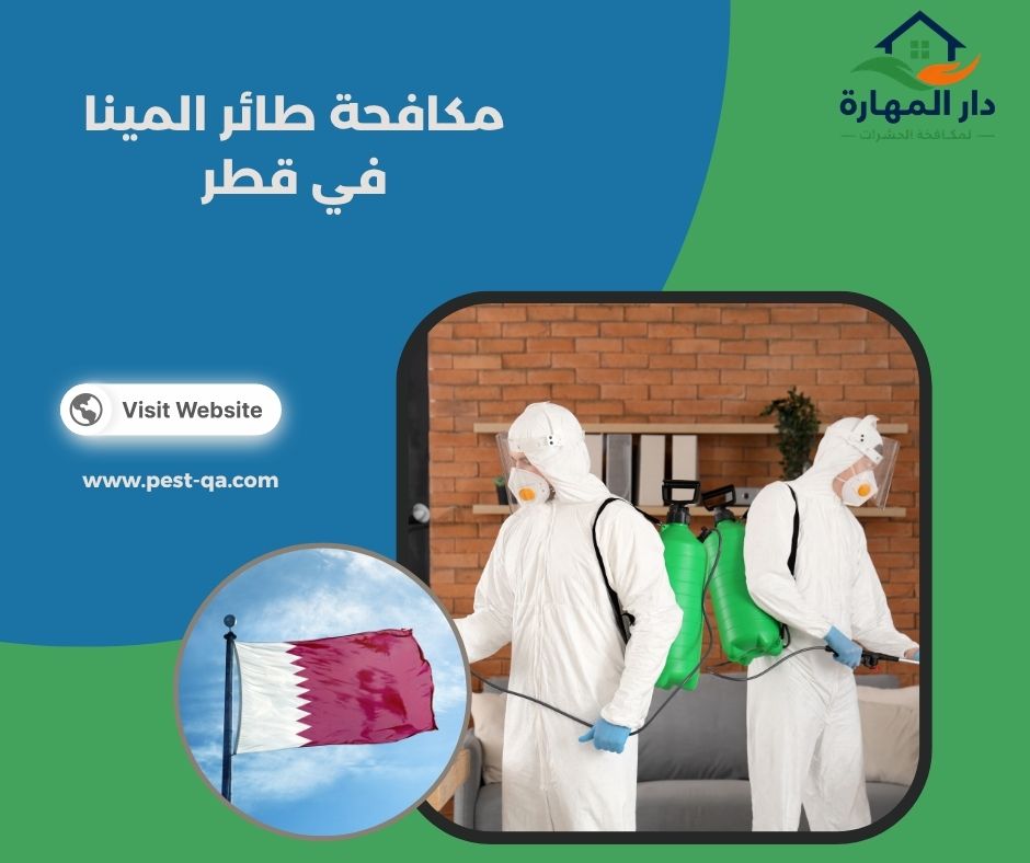 مكافحة طائر المينا في قطر مكافحة طائر المينا في قطر