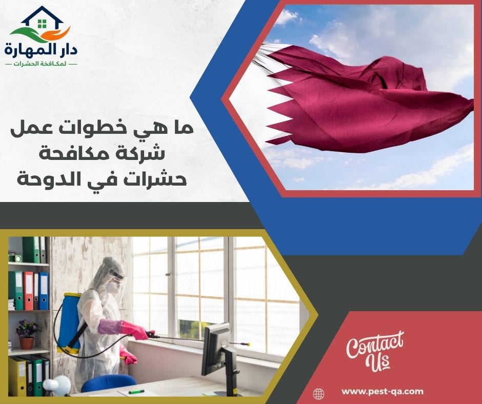 ما هي خطوات عمل شركة مكافحة حشرات في الدوحة ما هي خطوات عمل شركة مكافحة حشرات في الدوحة
