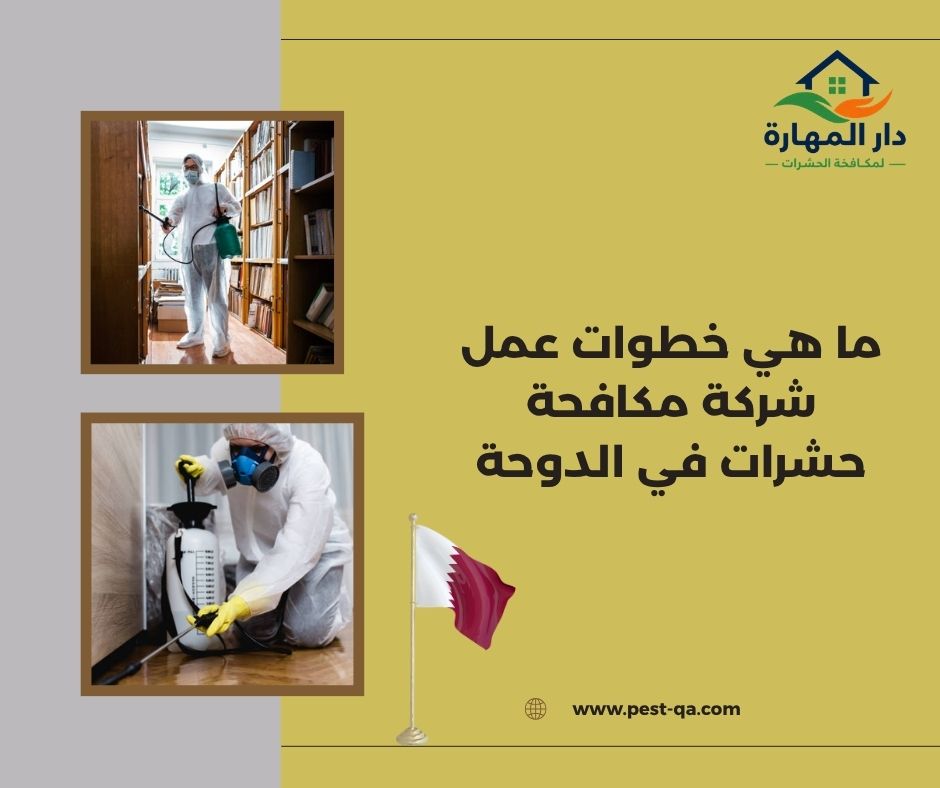 ما هي خطوات عمل شركة مكافحة حشرات في الدوحة ما هي خطوات عمل شركة مكافحة حشرات في الدوحة