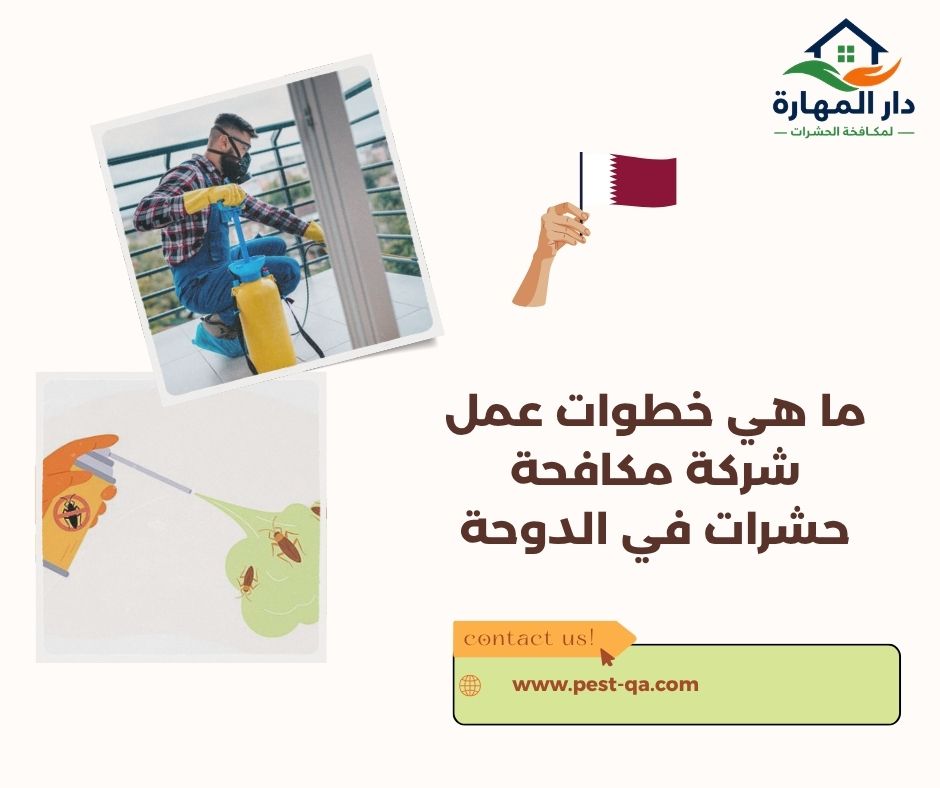 ما هي خطوات عمل شركة مكافحة حشرات في الدوحة ما هي خطوات عمل شركة مكافحة حشرات في الدوحة