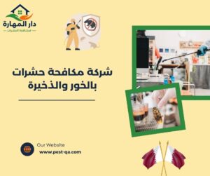 شركة مكافحة حشرات بالخور والذخيرة