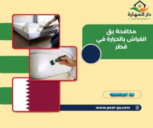 مكافحة بق الفراش بالحرارة في قطر