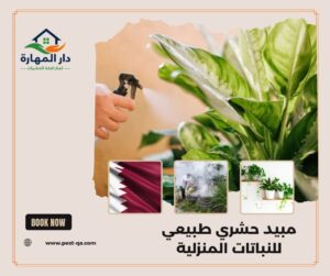 مبيد حشري طبيعي للنباتات المنزلية