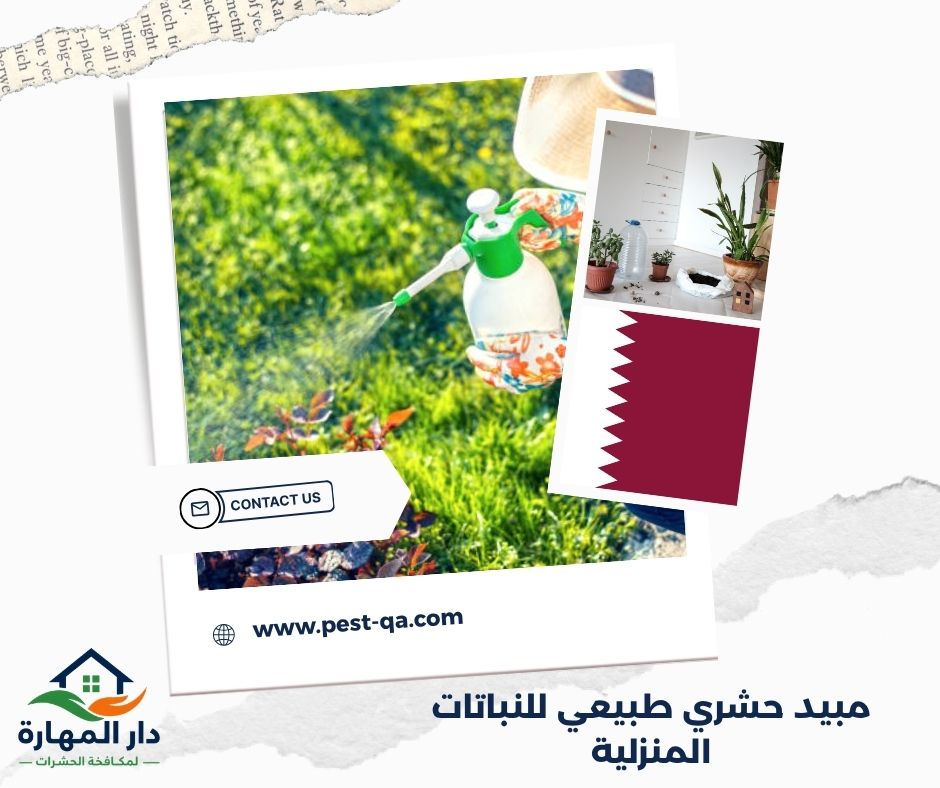 مبيد حشري طبيعي للنباتات المنزلية مبيد حشري طبيعي للنباتات المنزلية