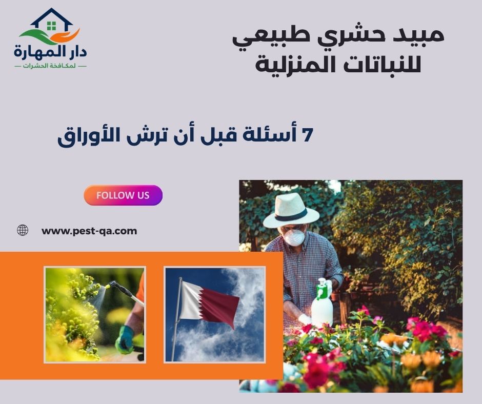 مبيد حشري طبيعي للنباتات المنزلية