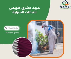 مبيد حشري طبيعي للنباتات المنزلية