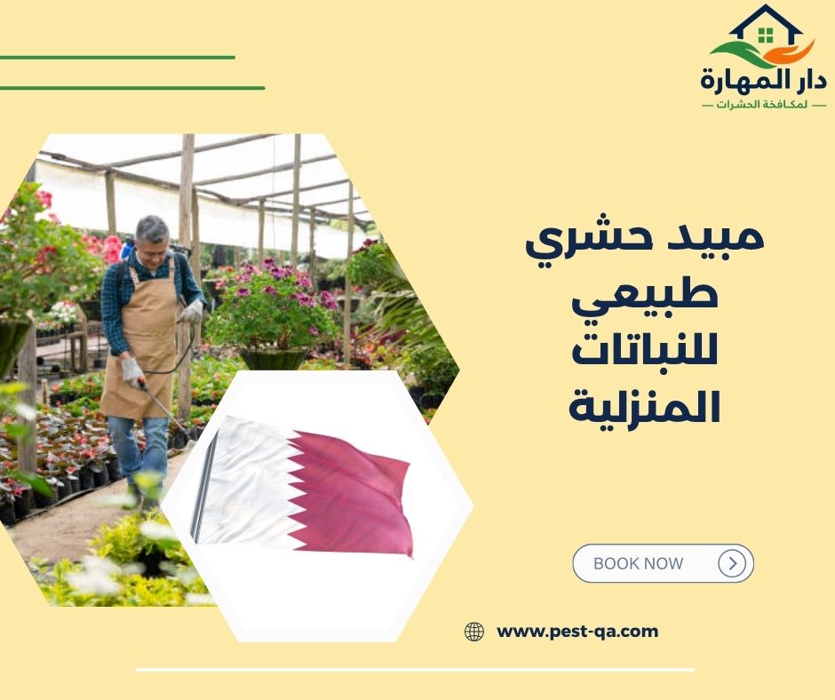 مبيد حشري طبيعي للنباتات المنزلية مبيد حشري طبيعي للنباتات المنزلية
