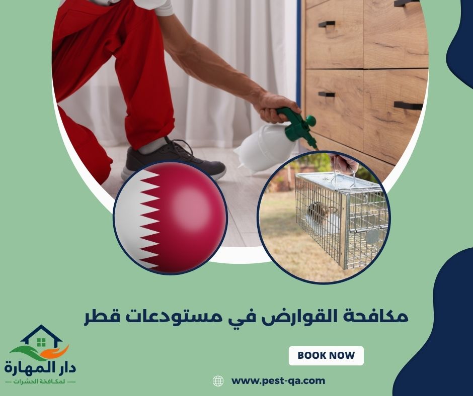مكافحة القوارض في مستودعات قطر مكافحة القوارض في مستودعات قطر