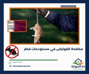 مكافحة القوارض في مستودعات قطر
