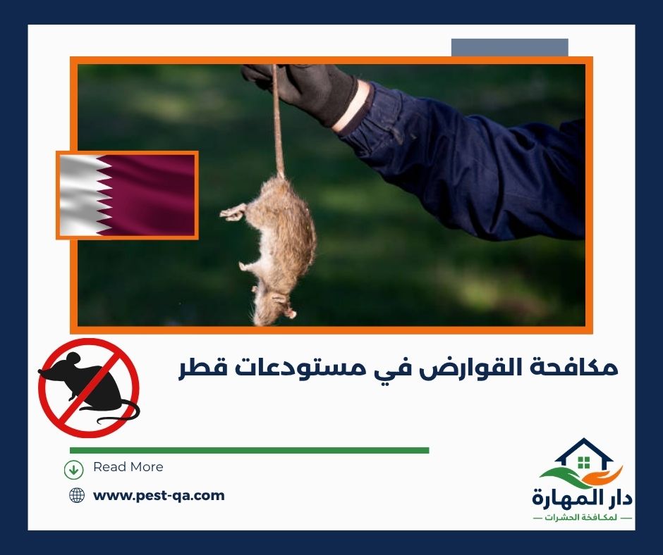 مكافحة القوارض في مستودعات قطر مكافحة القوارض في مستودعات قطر