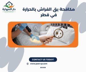 مكافحة بق الفراش بالحرارة في قطر