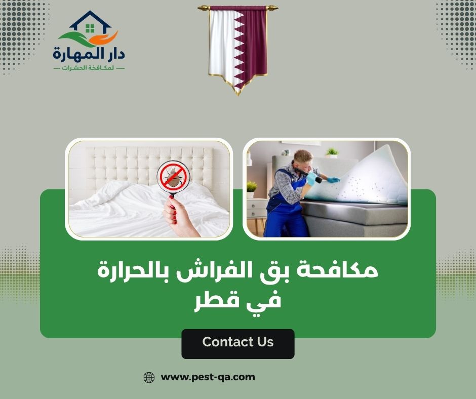 مكافحة بق الفراش بالحرارة في قطر مكافحة بق الفراش بالحرارة في قطر