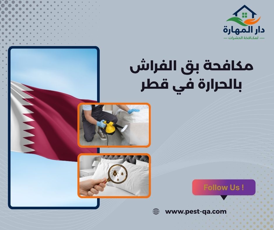 مكافحة بق الفراش بالحرارة في قطر مكافحة بق الفراش بالحرارة في قطر