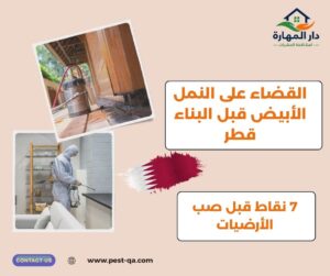 القضاء على النمل الأبيض قبل البناء قطر
