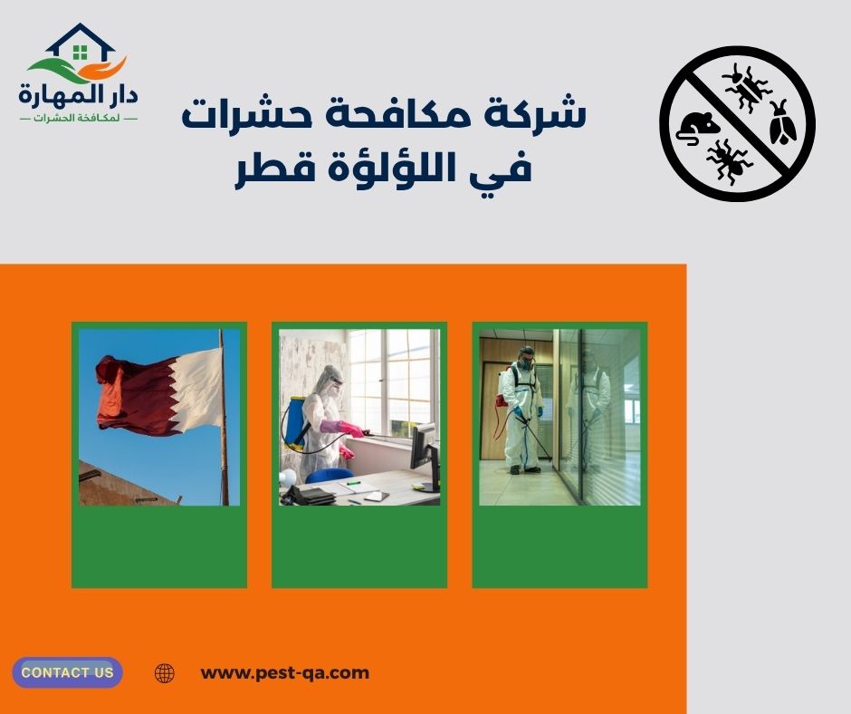 شركة مكافحة حشرات في اللؤلؤة قطر شركة مكافحة حشرات في اللؤلؤة قطر