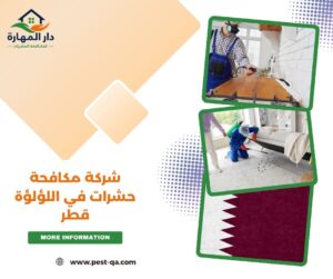 شركة مكافحة حشرات في اللؤلؤة قطر