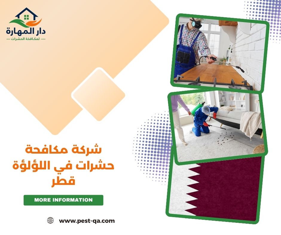 شركة مكافحة حشرات في اللؤلؤة قطر شركة مكافحة حشرات في اللؤلؤة قطر