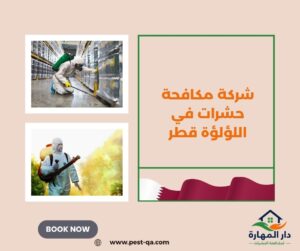 شركة مكافحة حشرات في اللؤلؤة قطر