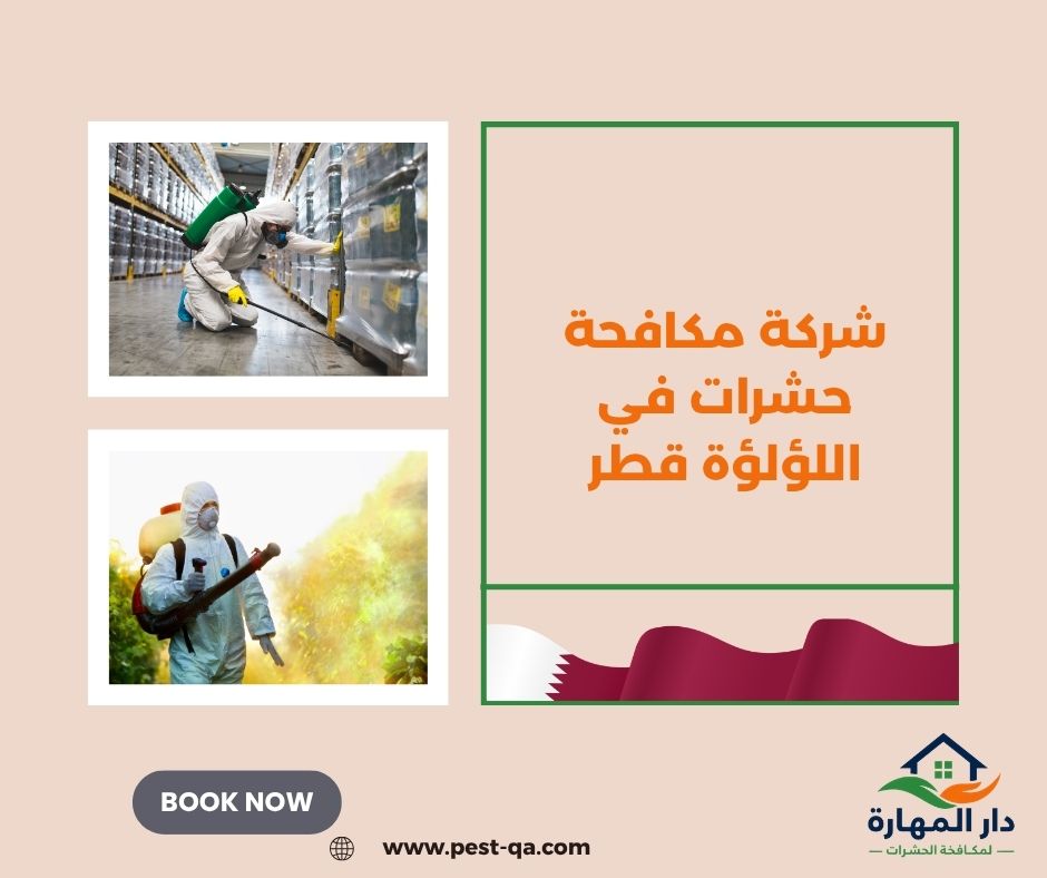 شركة مكافحة حشرات في اللؤلؤة قطر شركة مكافحة حشرات في اللؤلؤة قطر