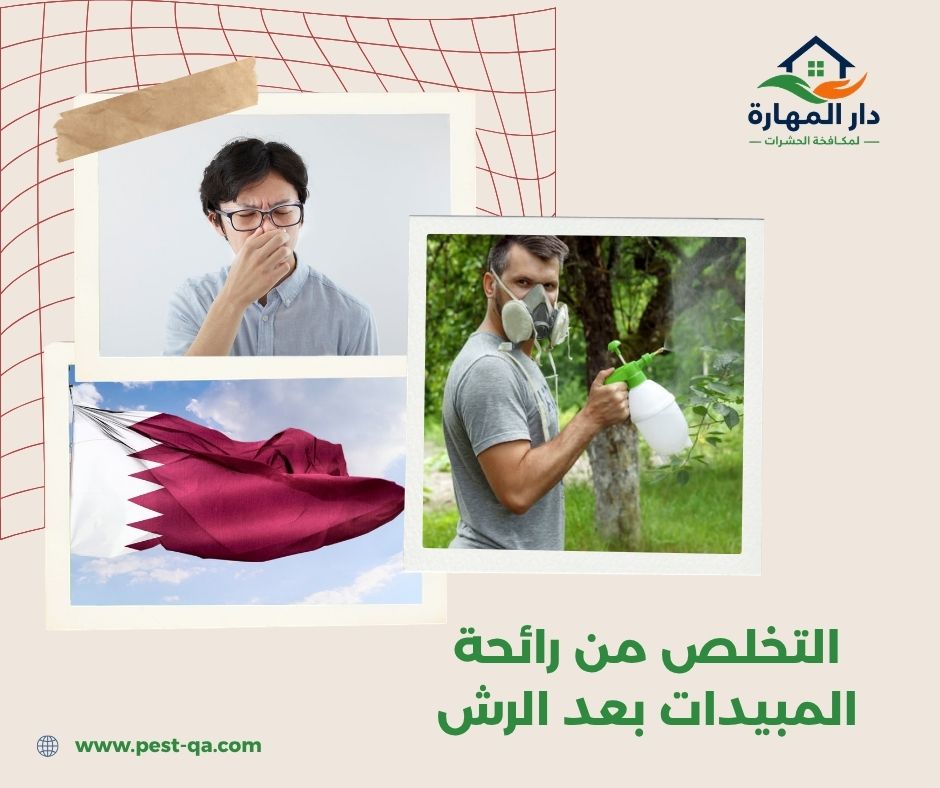 التخلص من رائحة المبيدات بعد الرش التخلص من رائحة المبيدات بعد الرش