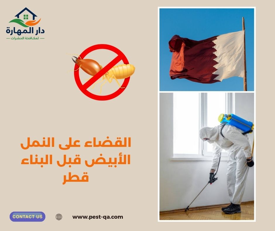 القضاء على النمل الأبيض قبل البناء قطر القضاء على النمل الأبيض قبل البناء قطر