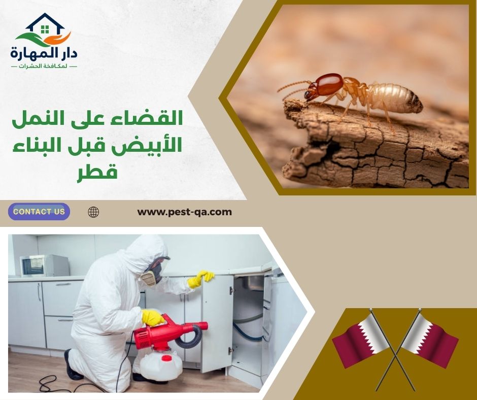 القضاء على النمل الأبيض قبل البناء قطر القضاء على النمل الأبيض قبل البناء قطر