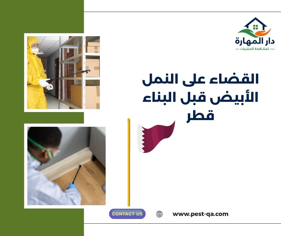 القضاء على النمل الأبيض قبل البناء قطر القضاء على النمل الأبيض قبل البناء قطر