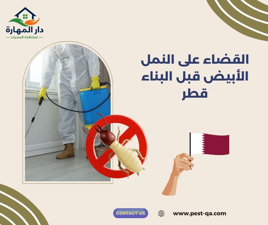 القضاء على النمل الأبيض قبل البناء قطر القضاء على النمل الأبيض قبل البناء قطر