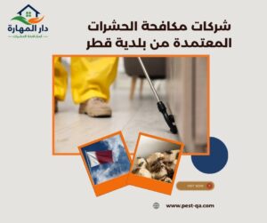 شركات مكافحة الحشرات المعتمدة من بلدية قطر