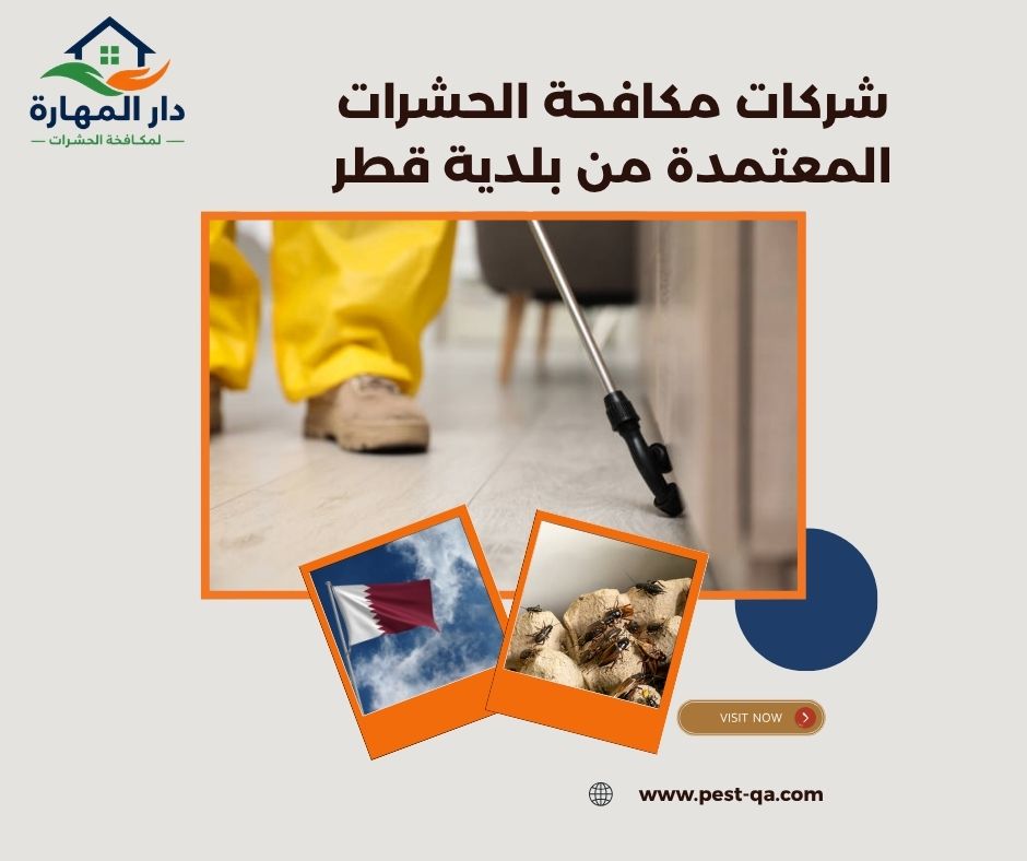 شركات مكافحة الحشرات المعتمدة من بلدية قطر شركات مكافحة الحشرات المعتمدة من بلدية قطر