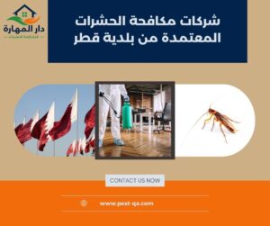 شركات مكافحة الحشرات المعتمدة من بلدية قطر