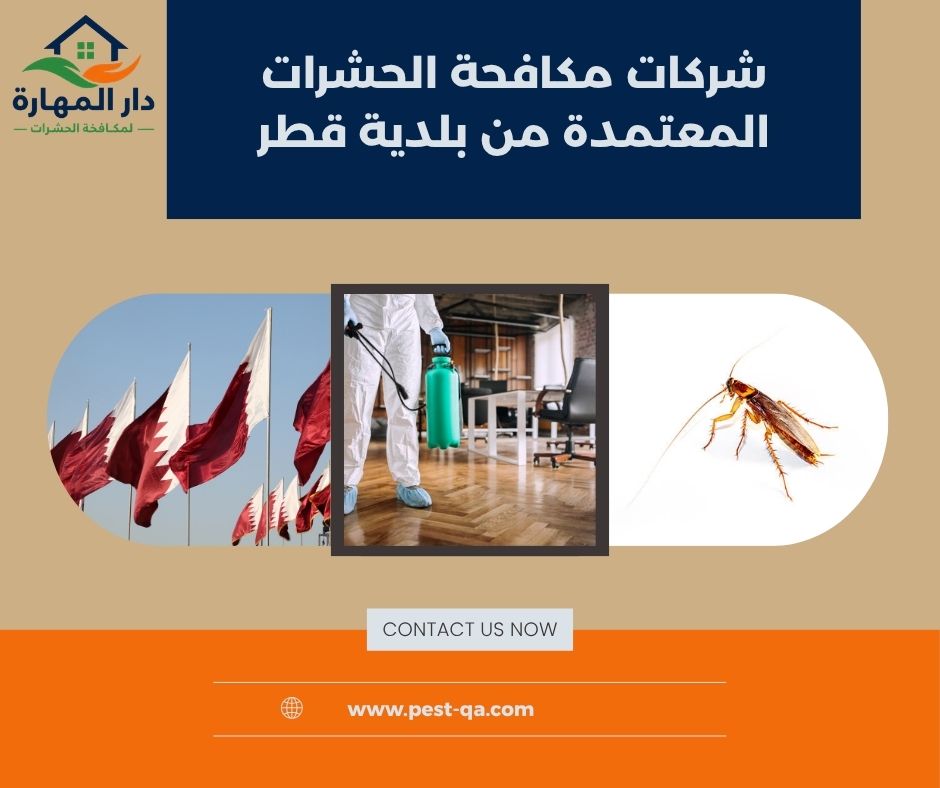 شركات مكافحة الحشرات المعتمدة من بلدية قطر شركات مكافحة الحشرات المعتمدة من بلدية قطر