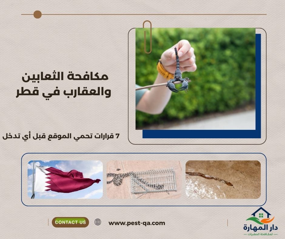 مكافحة الثعابين والعقارب في قطر