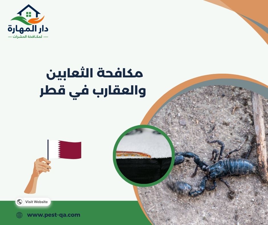مكافحة الثعابين والعقارب في قطر مكافحة الثعابين والعقارب في قطر