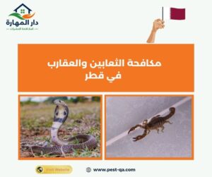 مكافحة الثعابين والعقارب في قطر