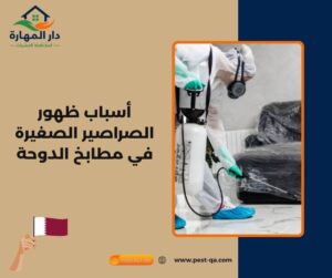 أسباب ظهور الصراصير الصغيرة في مطابخ الدوحة