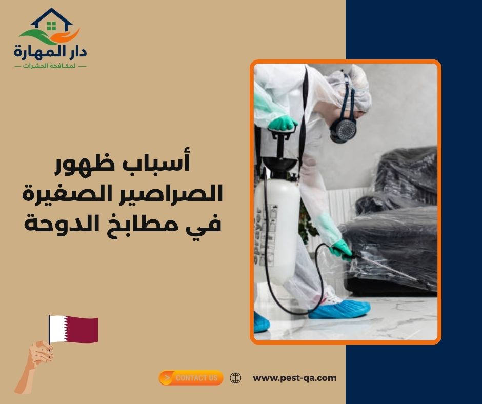 أسباب ظهور الصراصير الصغيرة في مطابخ الدوحة أسباب ظهور الصراصير الصغيرة في مطابخ الدوحة