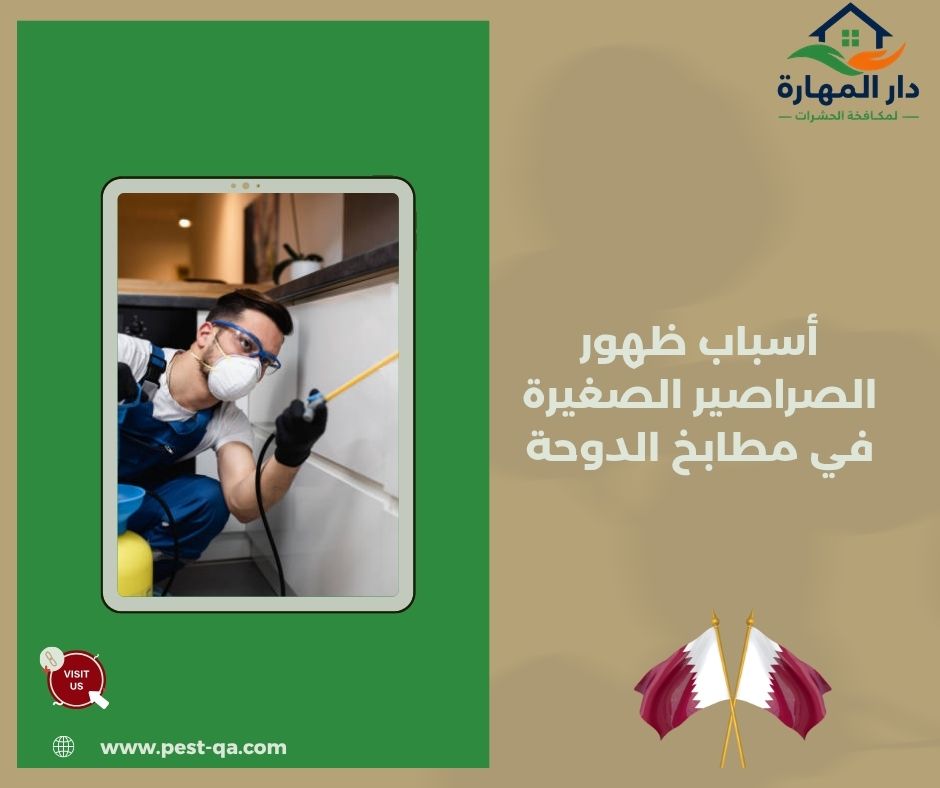 أسباب ظهور الصراصير الصغيرة في مطابخ الدوحة أسباب ظهور الصراصير الصغيرة في مطابخ الدوحة