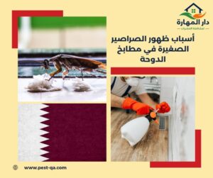 أسباب ظهور الصراصير الصغيرة في مطابخ الدوحة