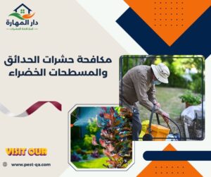 مكافحة حشرات الحدائق والمسطحات الخضراء
