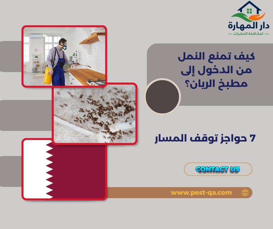 كيف تمنع النمل من الدخول إلى مطبخ الريان؟
